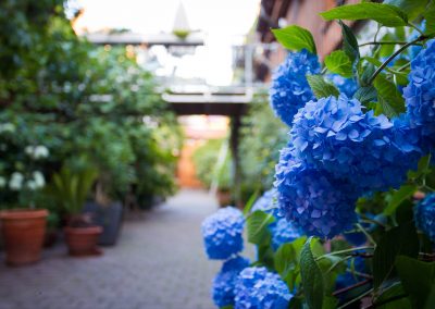 Innenhof Beate Bed and Breakfast Steinweg 44 Münzenberg